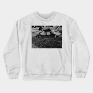 Preparing the Cocoa Beans Crewneck Sweatshirt